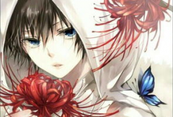 图片动漫图片,探寻神秘图卷背后的奇幻旅程